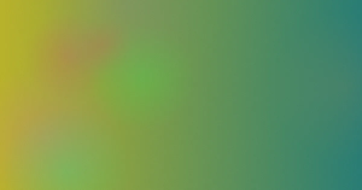 年轻的老师韩国测评避坑